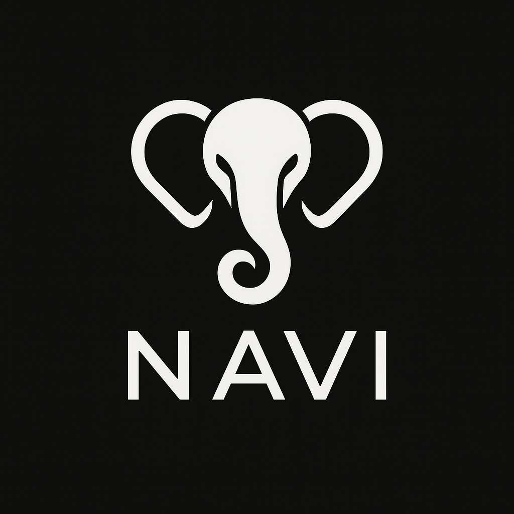 Project Navi